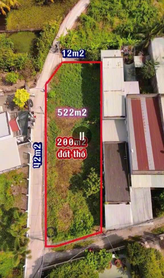 Đất nền hẻm đường Nguyễn Thông, Tân An 522m² giá 2.4 tỷ - Đầu tư sinh lời ngay!