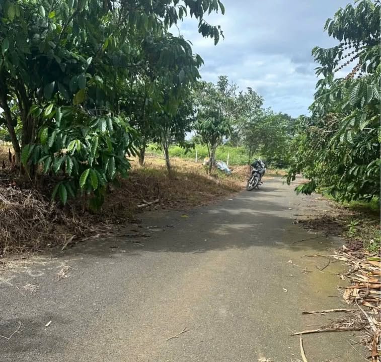 Đất nền Bảo Lâm 2887m² giá 2.15 tỷ - Đầu tư lý tưởng cho nghỉ dưỡng!