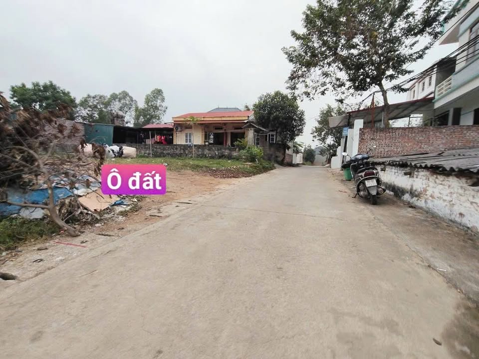 Đất thổ cư Thanh Vân, Tam Dương 121m² giá chỉ 12xx triệu - Đầu tư sinh lời!