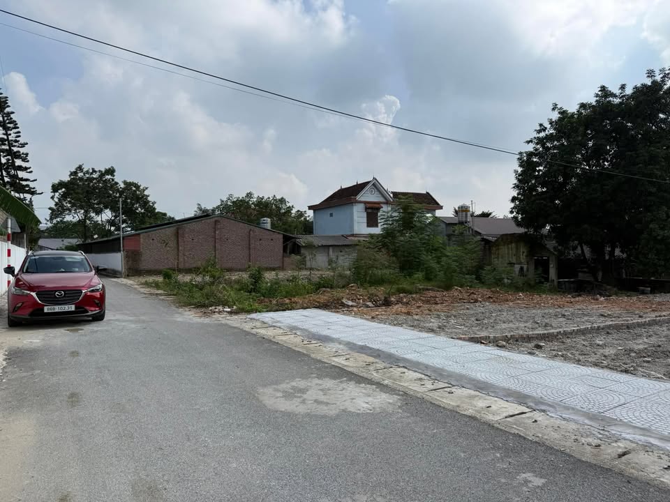 Đất nền Thanh Vân, Tam Dương 100m² giá 1 tỷ - Cơ hội đầu tư tuyệt vời!