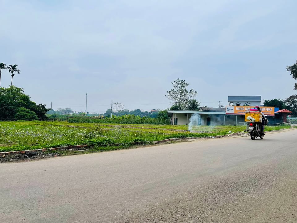 Đất nền Tứ Yên, Sông Lô, Vĩnh Phúc 100m² giá chỉ 1.3 tỷ - Cơ hội đầu tư sinh lời!