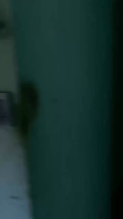 Nhà vườn cho thuê tại đường Nguyễn Văn Cừ, Pleiku - Diện tích 2000m² chỉ 2 triệu/tháng!