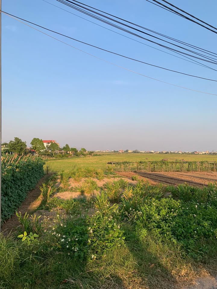 Đất nền Xóm 18 - Hải Nam 150m² - Đầu tư sinh lời ngay hôm nay!