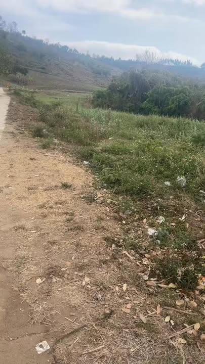 Lô đất 200m² tại Yang Trung, Kông Chro chỉ 480 triệu - Đầu tư sinh lời ngay!