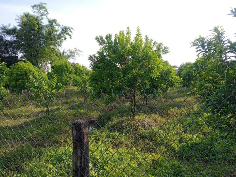 Đất thổ cư ấp Hồi Xuân, Châu Thành, Long An 127m² giá 480 triệu - Cơ hội đầu tư tuyệt vời!