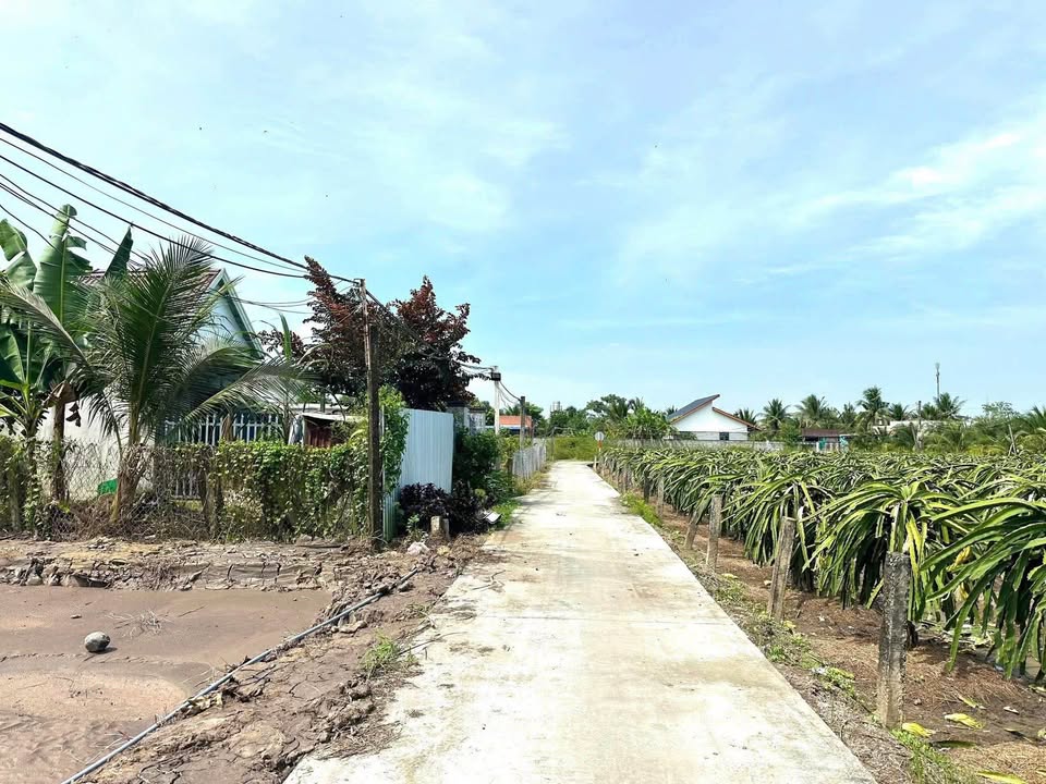 Đất thổ cư hẻm Châu Thị Kim, Tân An 246m² giá 850 triệu - Sổ hồng chính chủ!