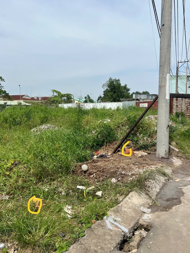 Đất nền Tỉnh Lộ 10, Bình Tân 56m² giá 3.199 tỷ - Pháp lý rõ ràng, sổ hồng riêng!