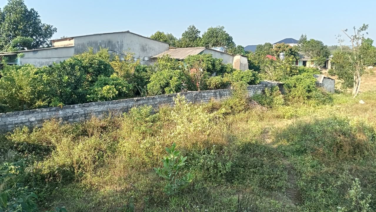 Lô vườn 3500m² tại Tân Sỏi, Yên Thế, Bắc Giang - Tuyệt vời cho nghỉ dưỡng!