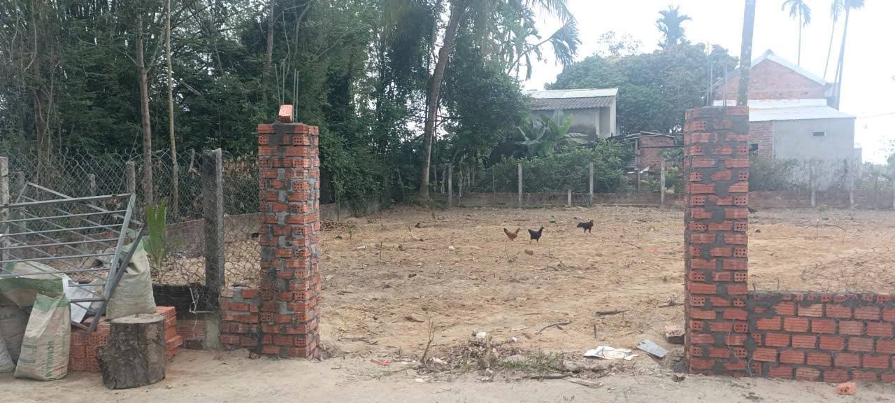 Đất nhà vườn Hòa Phong 520m² giá 3 tỷ - Ô tô tới nơi, đầu tư sinh lời!