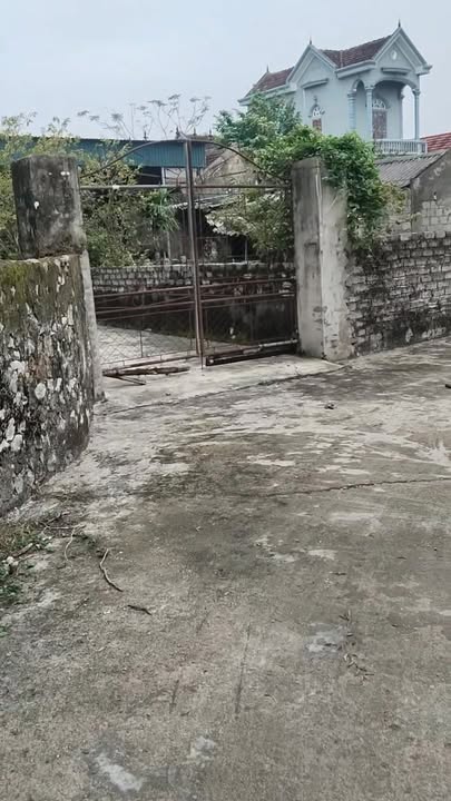 Lô đất góc 250m² tại Quỳnh Giang, Nghệ An - Giá chỉ 1 tỷ VND!