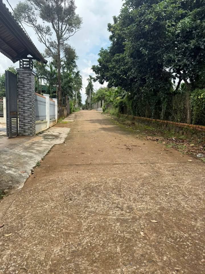 Đất nền Cư Kuin 119m² giá 400 triệu - Đầu tư sinh lời ngay!