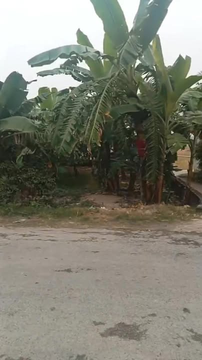 Đất nền góc 2 mặt tiền thôn An Cư, xã Nghĩa An, 181m² giá 2.3 tỷ - Sổ đỏ chính chủ!