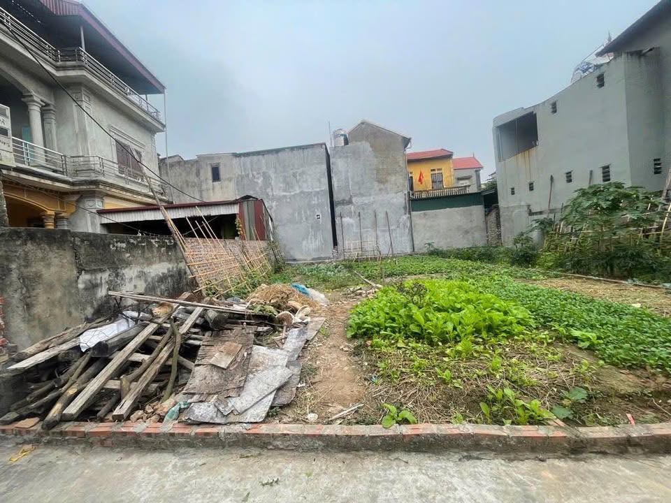 Đất Ỷ Lan Đặng Xá 45m² giá 3 tỷ - Ô tô đỗ cửa, tiện ích đầy đủ!