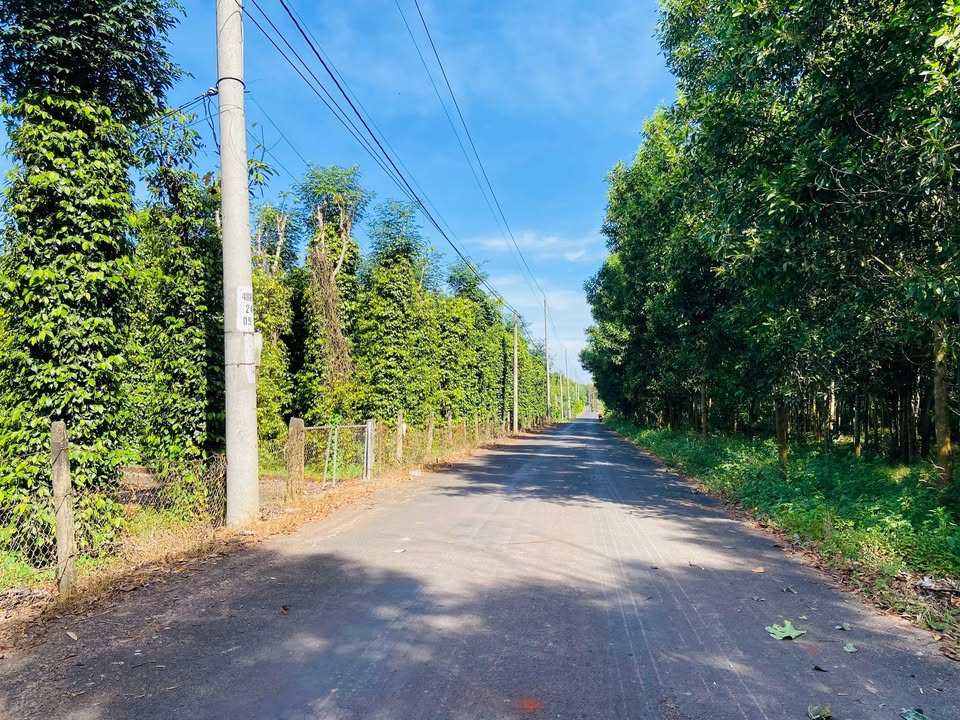 Đất Hòa Hội, Xuyên Mộc 7000m² giá 5 tỷ - Cơ hội đầu tư tuyệt vời!