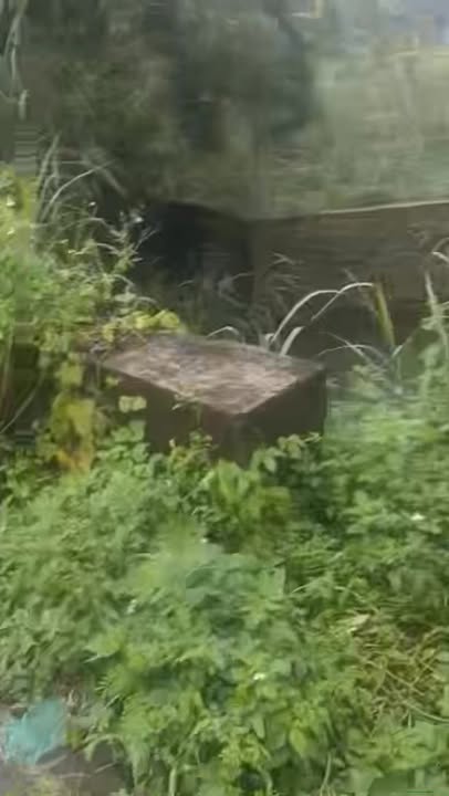 Đất nền Kim Long, Châu Đức, 1630m² giá 3.399 tỷ - Đầu tư sinh lời ngay!