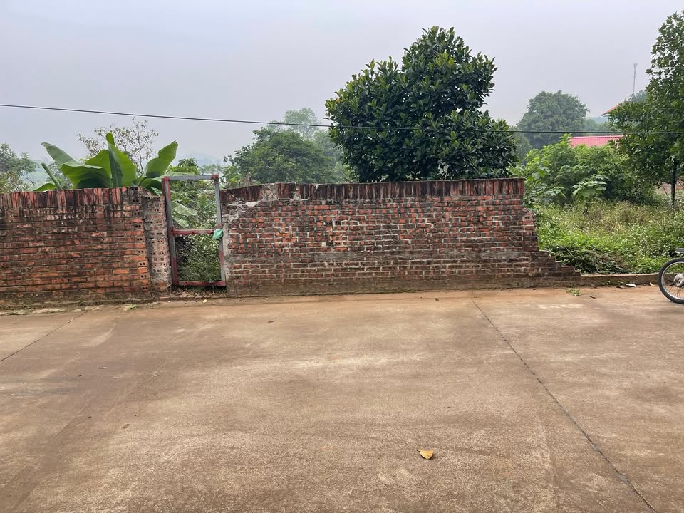 Đất thổ cư 130m² Dân Quyền, Tam Nông - Giá chỉ 800 triệu, đường ô tô tránh nhau!