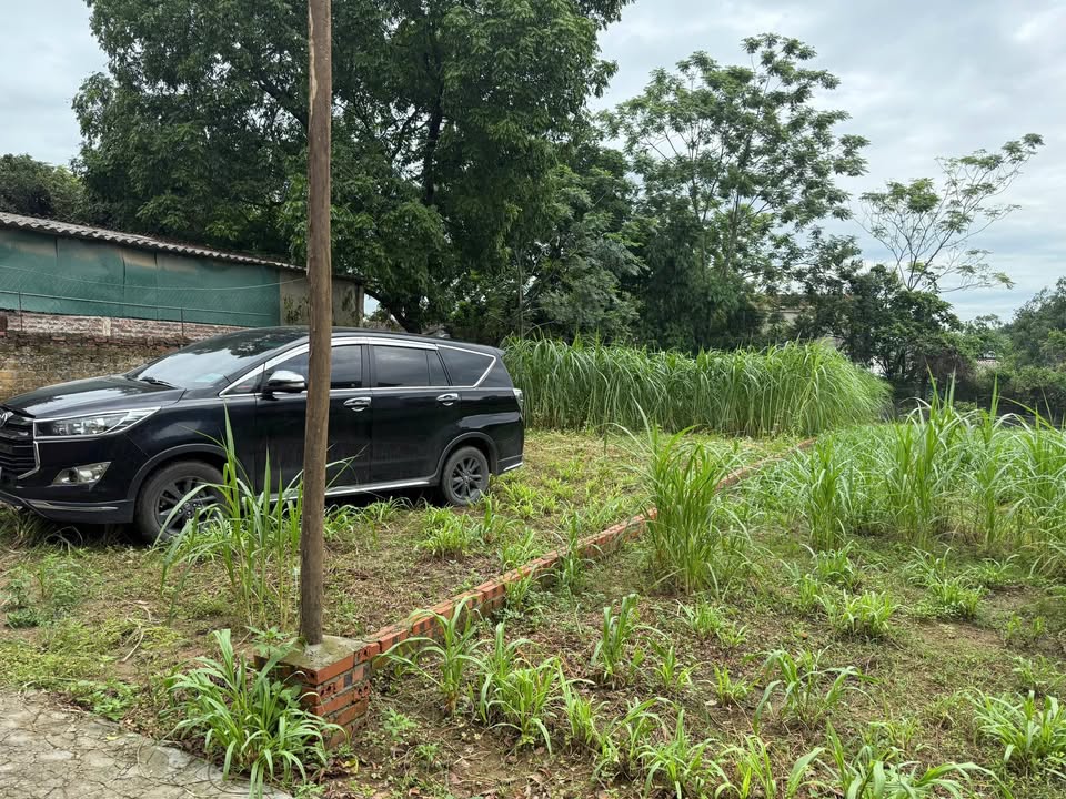 Đất nông trường Tây Đằng, Ba Vì 300m² giá 600 triệu - Đường ô tô vào tận nơi!