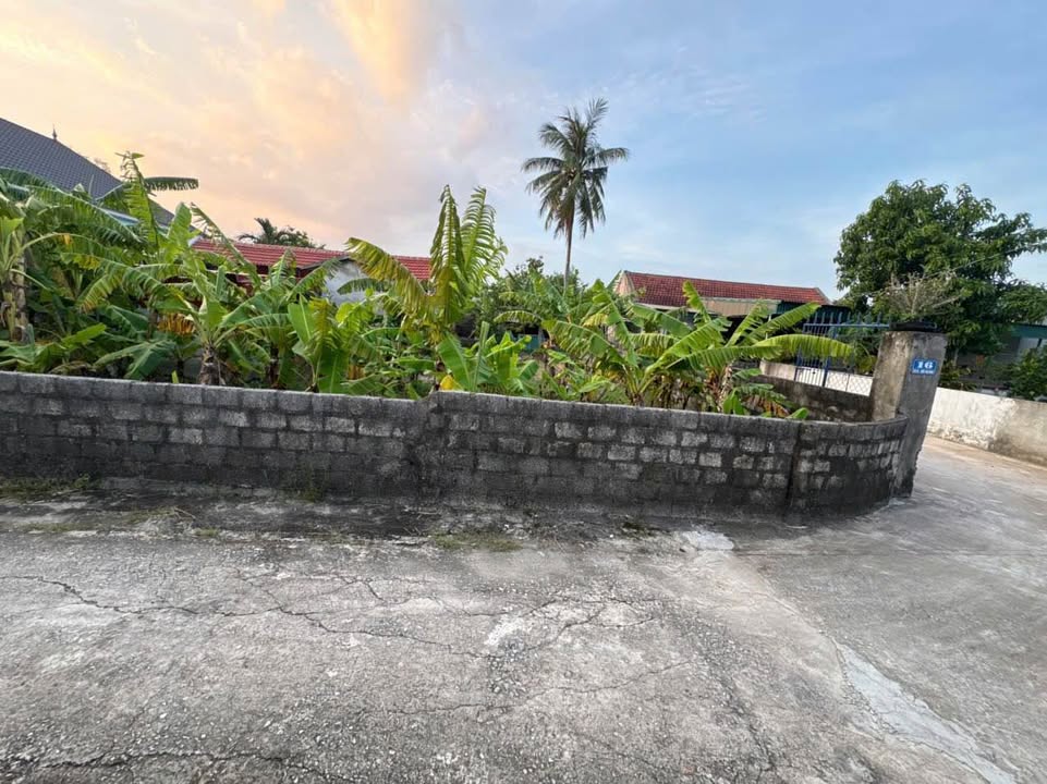 Đất thổ cư 260m² tại Thôn Thái Minh, Triệu Sơn - Giá chỉ 600 triệu - Cần bán gấp!