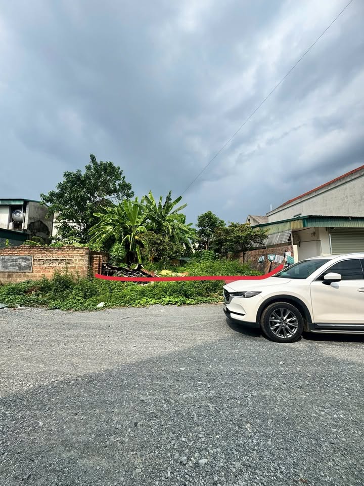 Bán đất 100m² tại Trưng Vương, Việt Trì - Vị trí đắc địa, giá chỉ 4 tỷ!