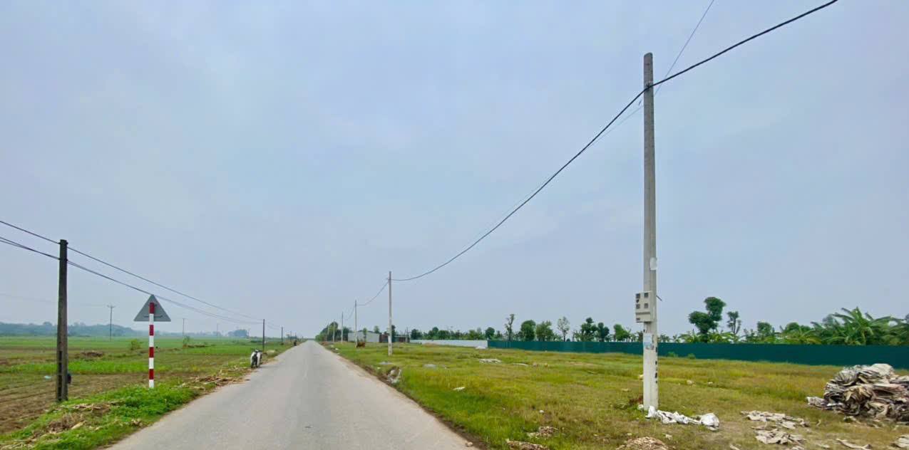 Đất đấu giá Thanh Uyên, Tam Nông 150m² giá chỉ 1 tỷ - Đường tỉnh lộ 315 kinh doanh sầm uất!