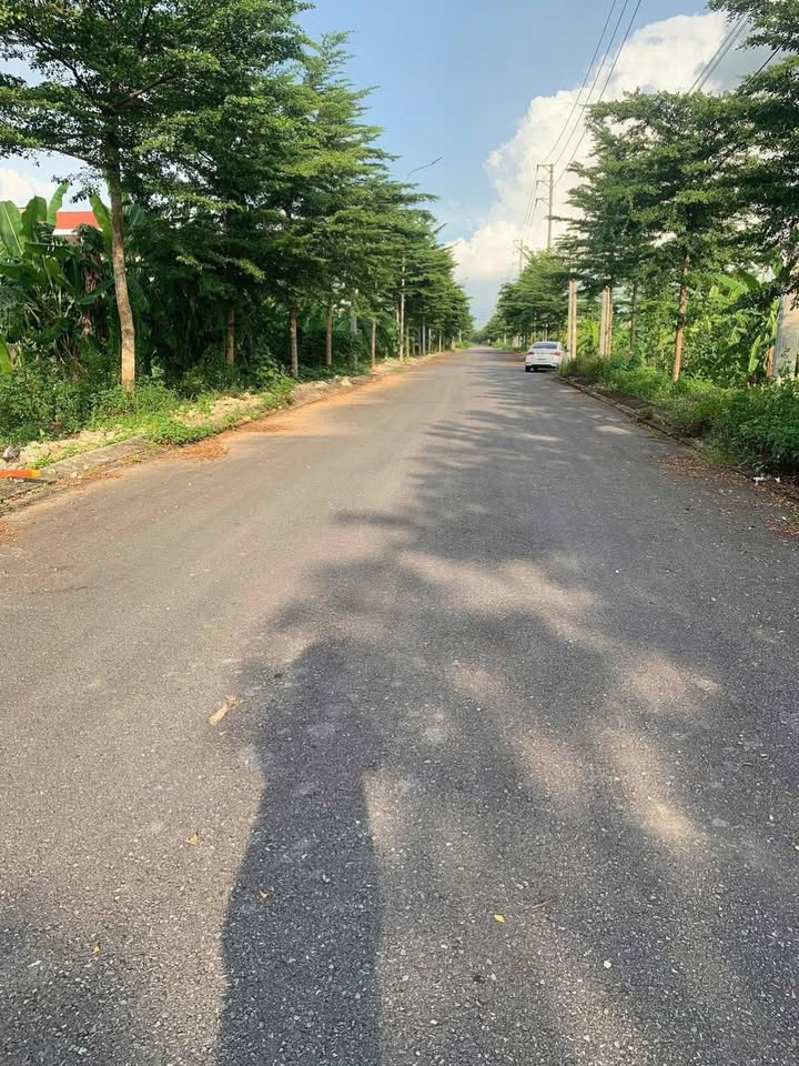 Đất nền Gia Thịnh Ninh Bình 120m² giá 1.5 tỷ - Cơ hội đầu tư sinh lời!