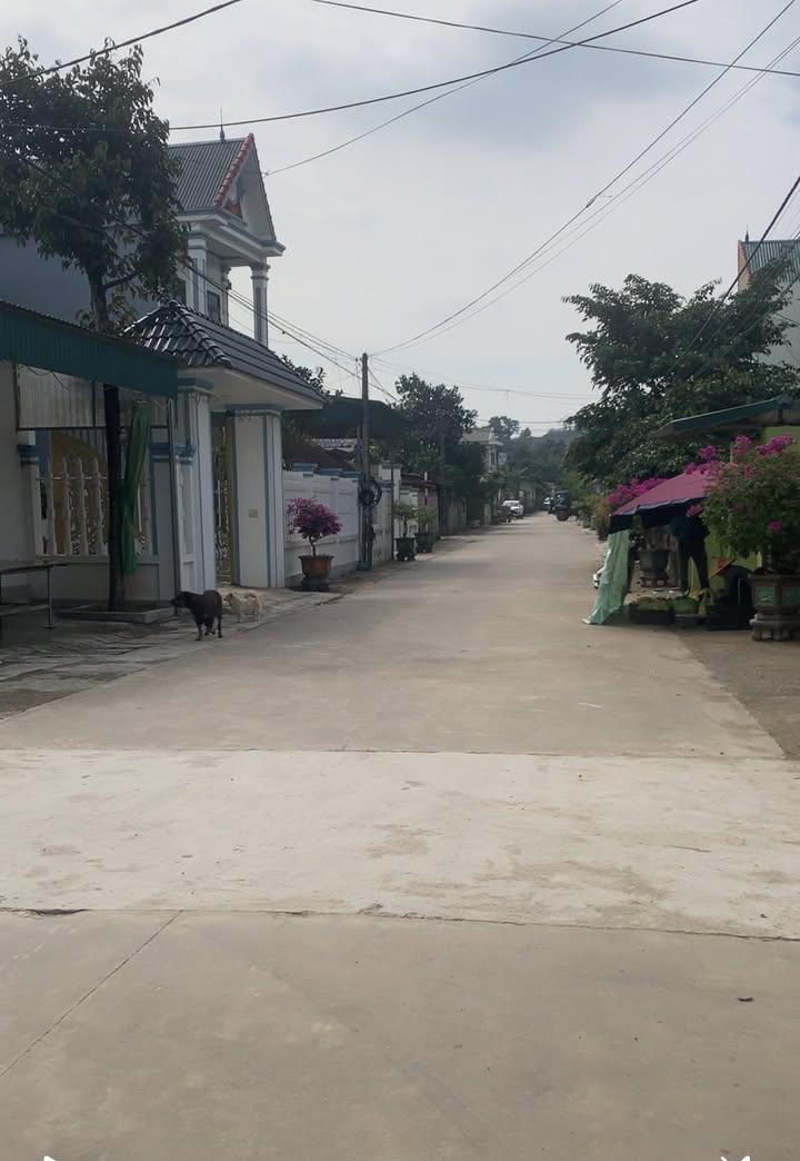 Đất nền Yên Sơn Tam Điệp 148m² giá chỉ 6xx triệu - Đường ô tô vào tận nơi!