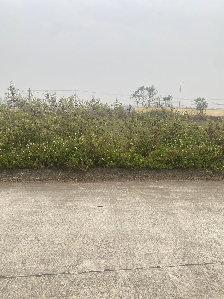 Đất nền đấu giá xã Phú Lộc, Nho Quan, Ninh Bình - Diện tích 95m², giá thỏa thuận - Cơ hội đầu tư hấp dẫn!