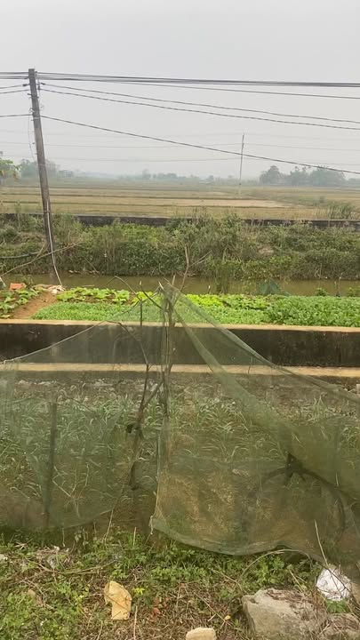 Đất nền Văn Phương Nho Quan 100m² - Gần cụm công nghiệp, giá thỏa thuận!