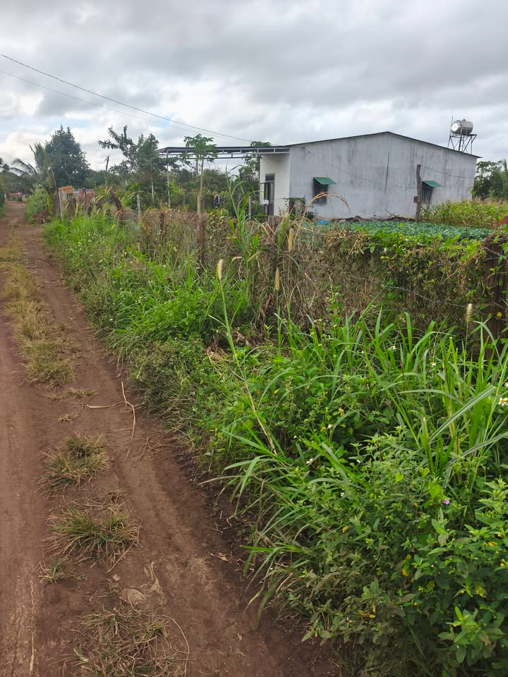 Đất nền chính chủ tại xã Ea Nuôl, Buôn Đôn, 500m² giá 700 triệu - Cơ hội đầu tư tuyệt vời!