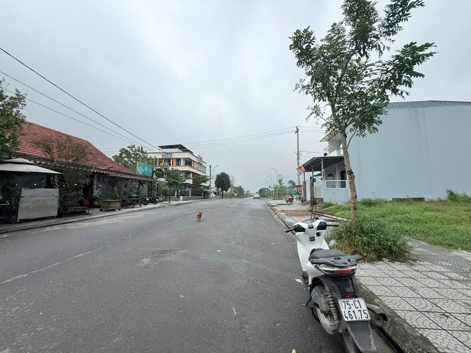 Đất nền mặt tiền Trường Đúc, KQH Bàu Vá, 115m², giá 4 tỷ - Đầu tư sinh lời ngay!