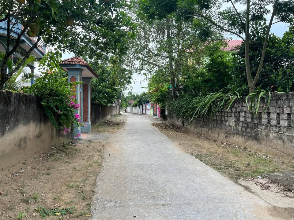 Đất biển Quảng Thái 150m² giá chỉ 900 triệu - Cách biển 200m, vị trí lý tưởng!