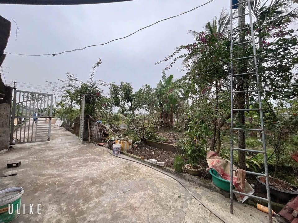 Đất nền 1200m² tại xã Quảng Ninh, Thanh Hóa - Cơ hội đầu tư hiếm có!