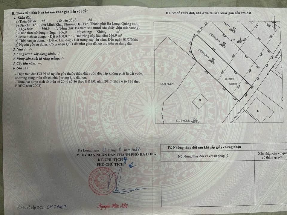 Đất nền Đại Yên Hạ Long 366m² - Cơ hội đầu tư sinh lời cao!