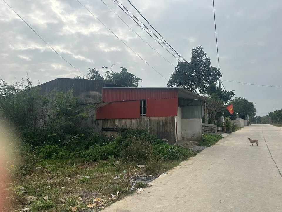 Đất nền trung tâm phường Bắc Sơn 100m² giá 1.5 tỷ - Sổ hồng chính chủ!