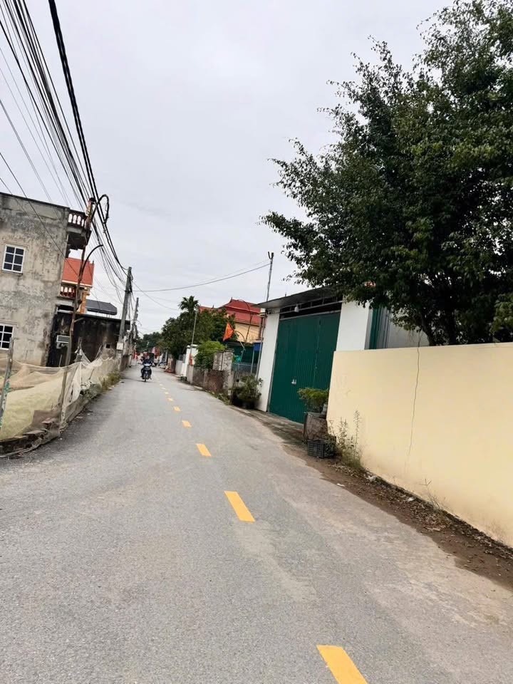 Đất nền Thư Phú, Thường Tín 50m² giá 3.09 tỷ - Đầu tư sinh lời cực tốt!