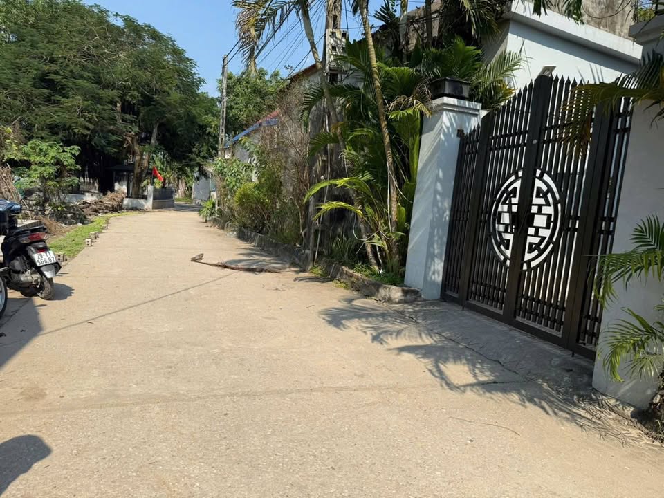 Đất nền thôn Đình Lê, xã Tuy Lai, 87m² - Đầu tư kinh doanh tuyệt vời!