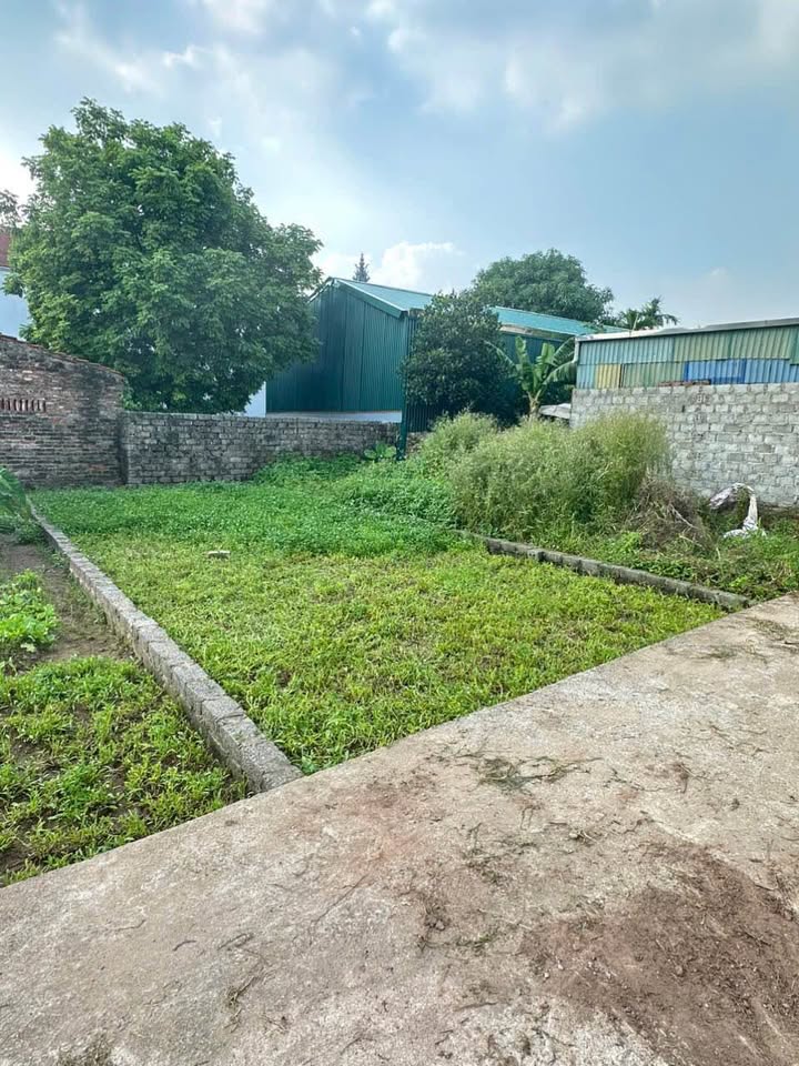 Đất nền Thư Phú, Thường Tín, 45m² giá 2.55 tỷ - Đầu tư sinh lời hấp dẫn!