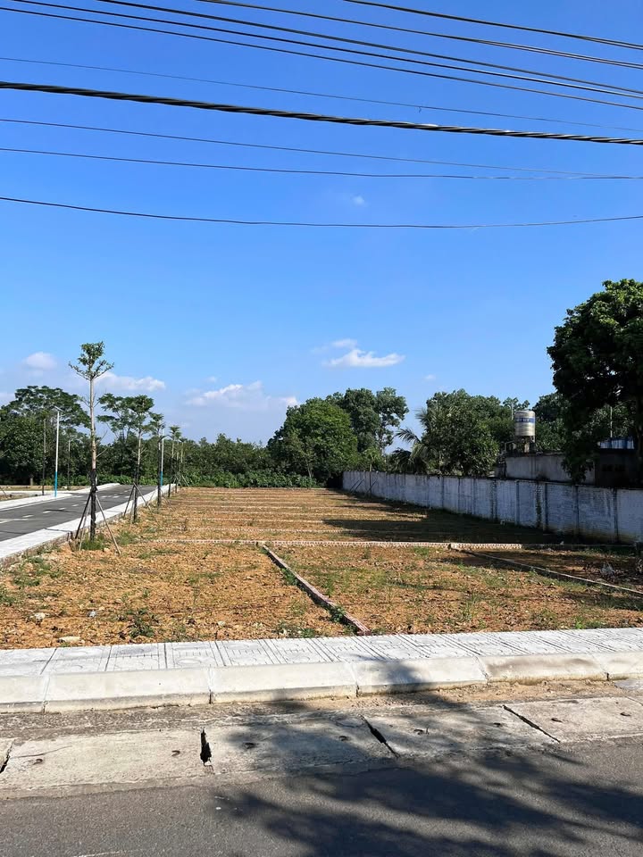 Đất nền lô góc Cổ Đông 100m² giá thỏa thuận - Vị trí vàng cho đầu tư!