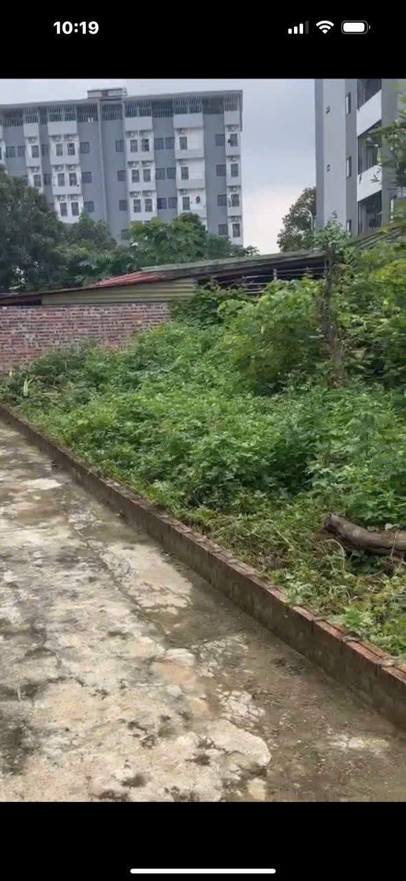 Đất nền Thạch Thất 166.5m² giá 5 tỷ - Vị trí tiềm năng gần sân bóng