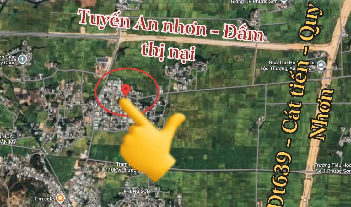 Đất vườn sinh thái Tuy Phước Đông 2.236,9m² giá 11.184 tỷ - Dễ dàng kinh doanh cafe, quán nhậu!