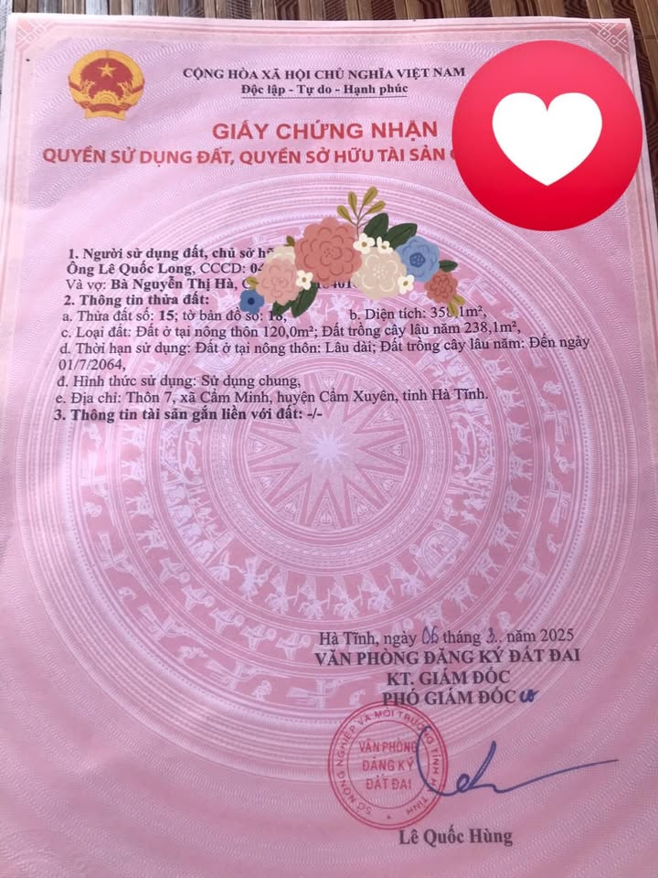 Đất nền Quốc lộ 1A Cẩm Minh 330m² - Giá thương lượng tốt!