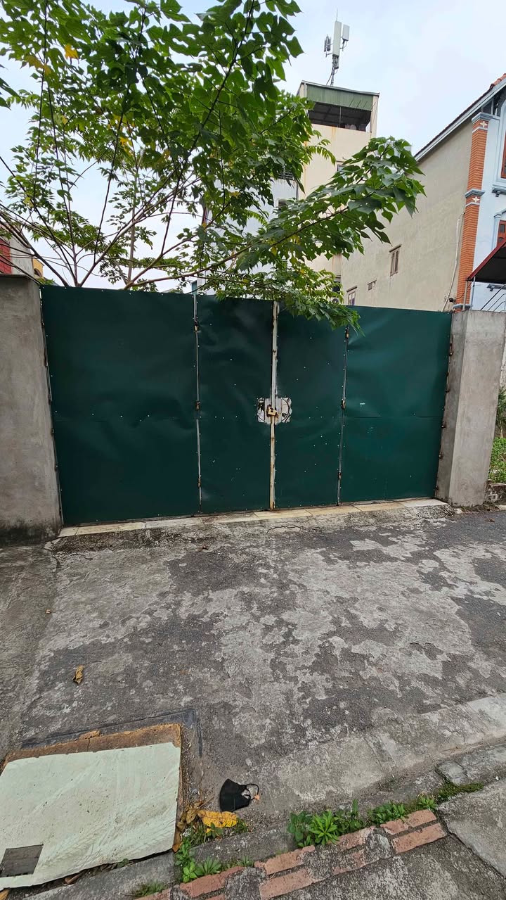 Nhà Trâu Quỳ 90m² giá 12 tỷ - Vị trí đắc địa, ô tô vào tận nơi!