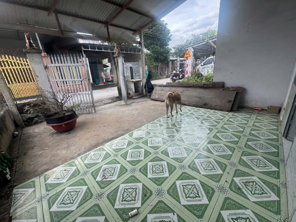 Nhà cấp 4 mặt tiền Hùng Vương, Tây Ninh 112m² giá chỉ 650 triệu - Bán gấp chính chủ!