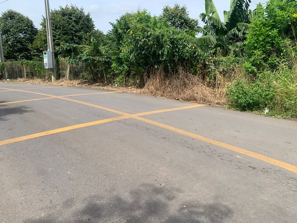 Đất vườn Phú Lộc Tân Phú 1.3ha giá 1.3 tỷ - Tiềm năng đầu tư lâu dài!