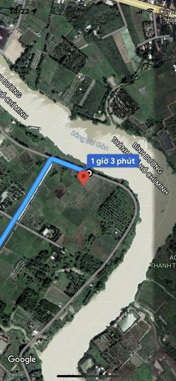 Đất Farm mặt tiền đê bao sông Sài Gòn, Củ Chi 6000m² - Giá 15 tỷ thương lượng!