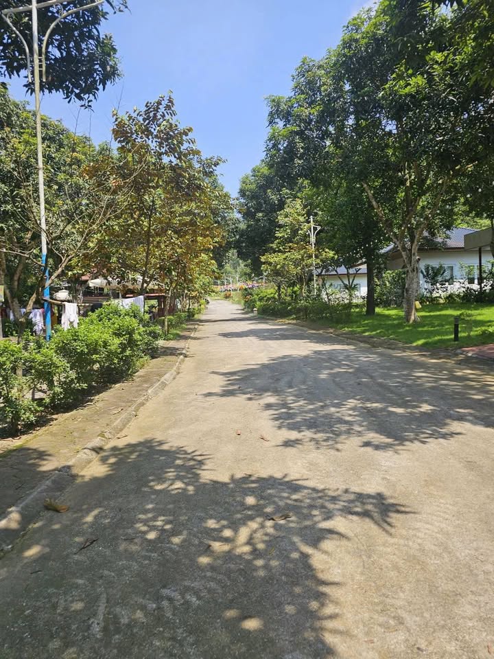 Đất nền thổ cư Hòa Sơn 90m² giá 2 tỷ - Đầu tư sinh lời tại khu nghỉ dưỡng May Garden!