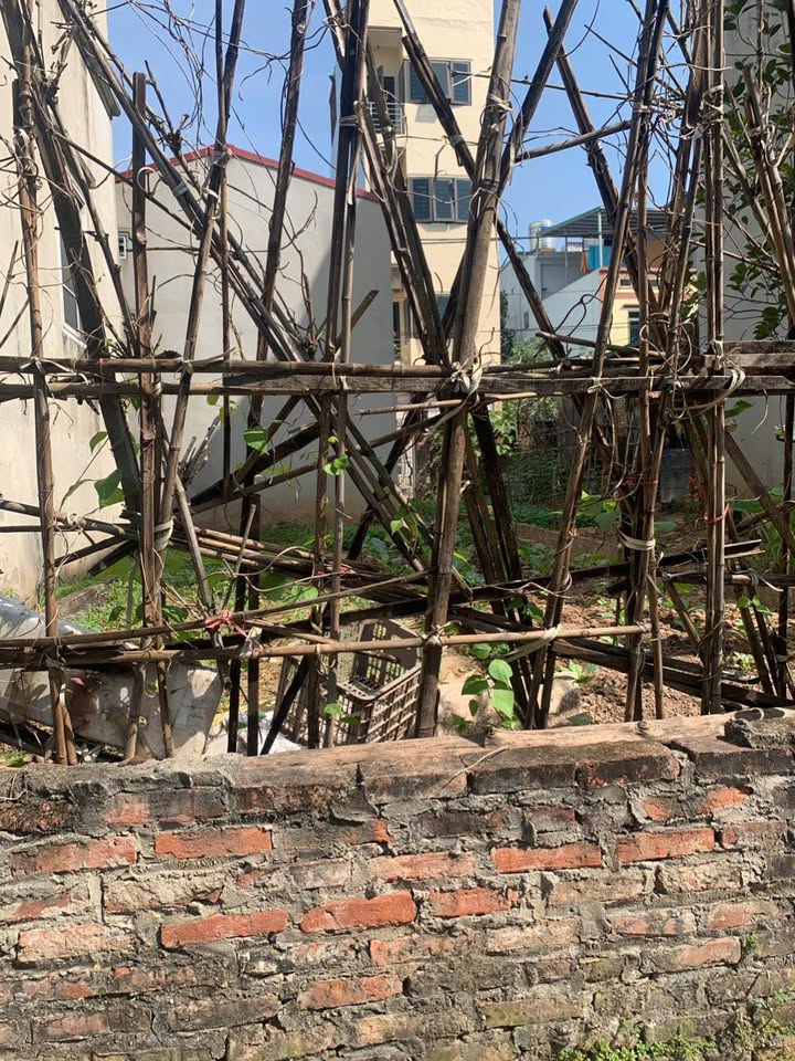 Đất nền Đại Áng, Thanh Trì 37m² giá 3 tỷ - An ninh tốt, đầu tư sinh lời!