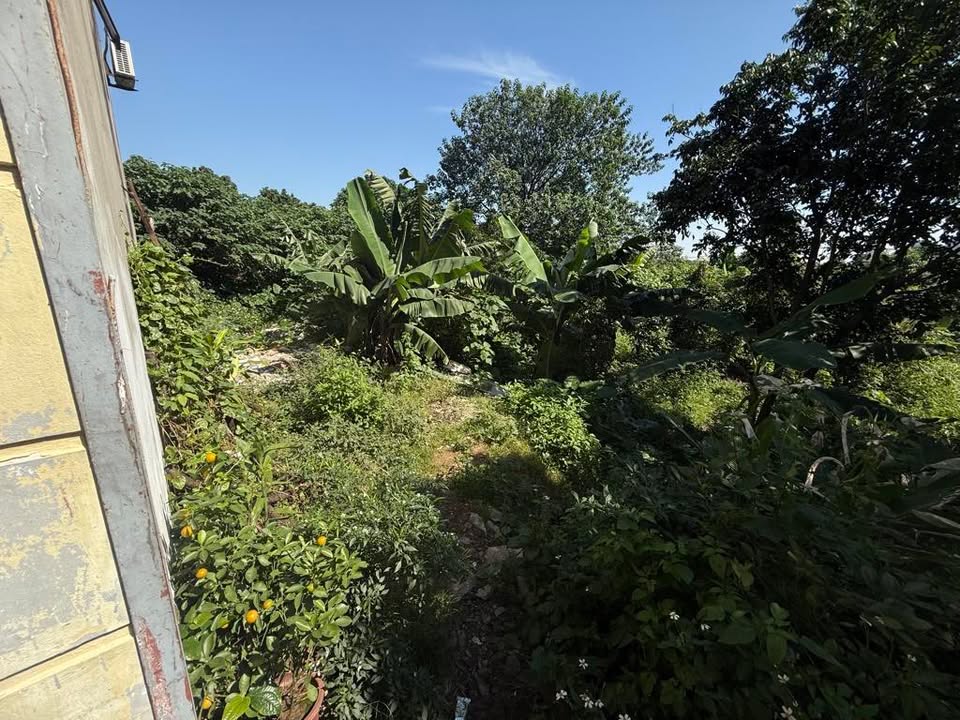 Đất Thúy Lĩnh Hoàng Mai 200m² giá 7 tỷ - Đầu tư sinh lời ngay!