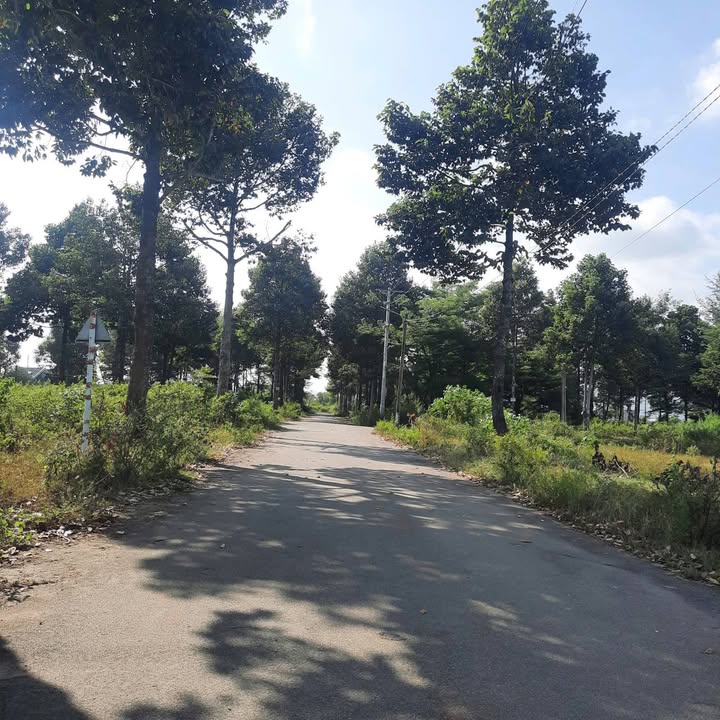 Đất biệt thự Baremex Hòa Long, Bà Rịa 299m² giá 3.75 tỷ - Cơ hội đầu tư tuyệt vời!