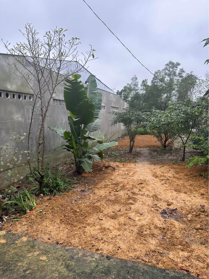 Đất nền Diên Sanh, Hải Lăng 100m² giá 700 triệu - Cao ráo, không lo ngập lụt!